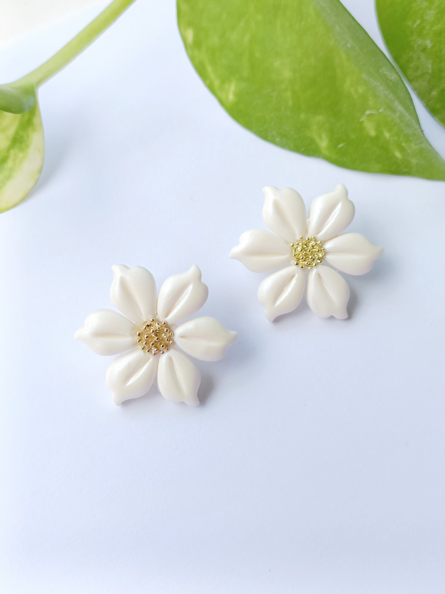 Fiore Lobo Bianco