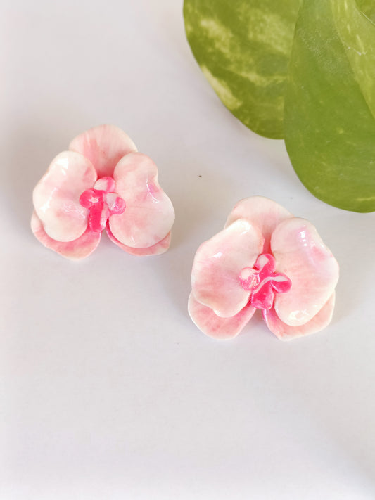 Orchidea Lobo Rosa