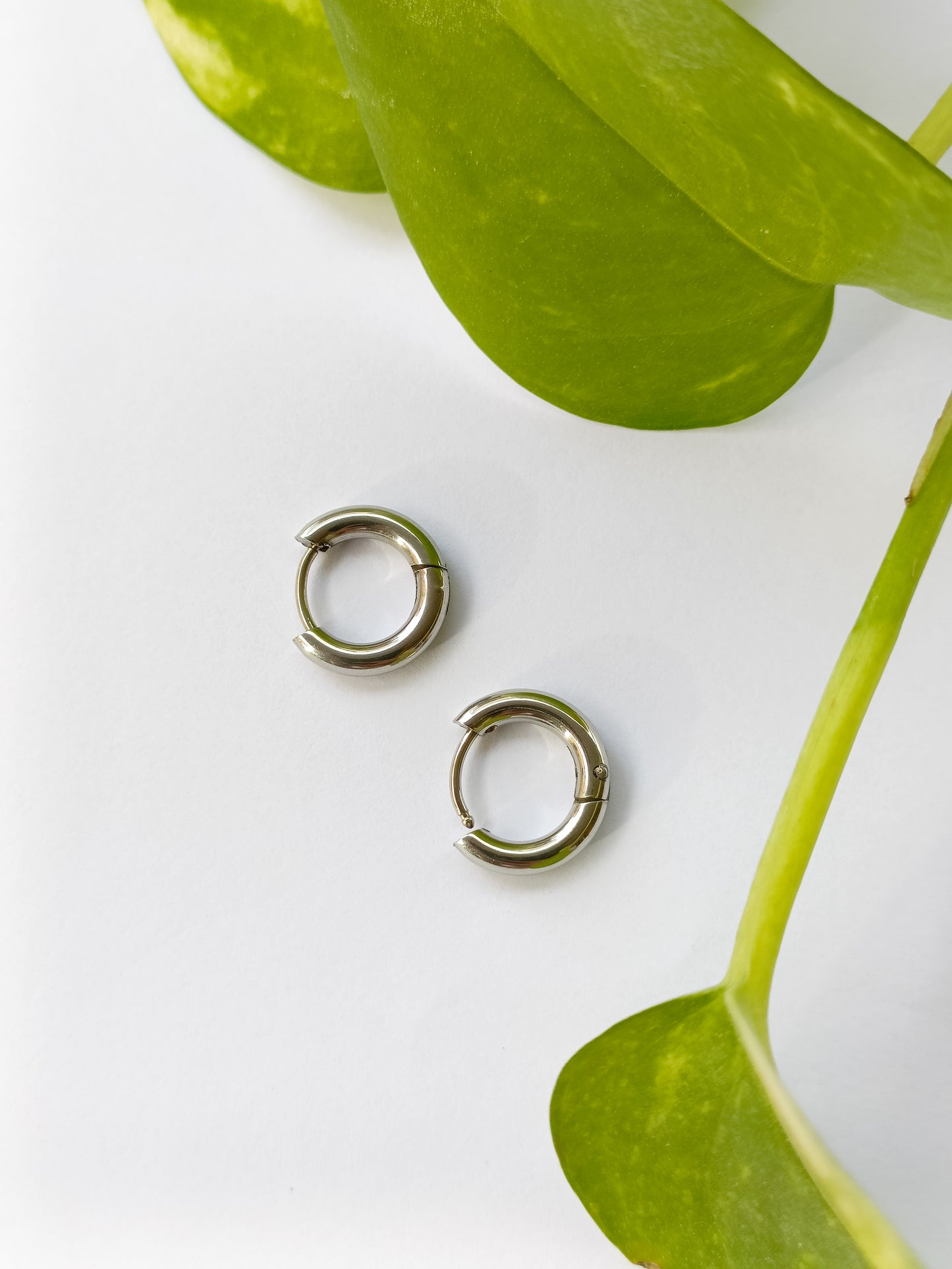 Hoop Acciaio inossidabile Argento