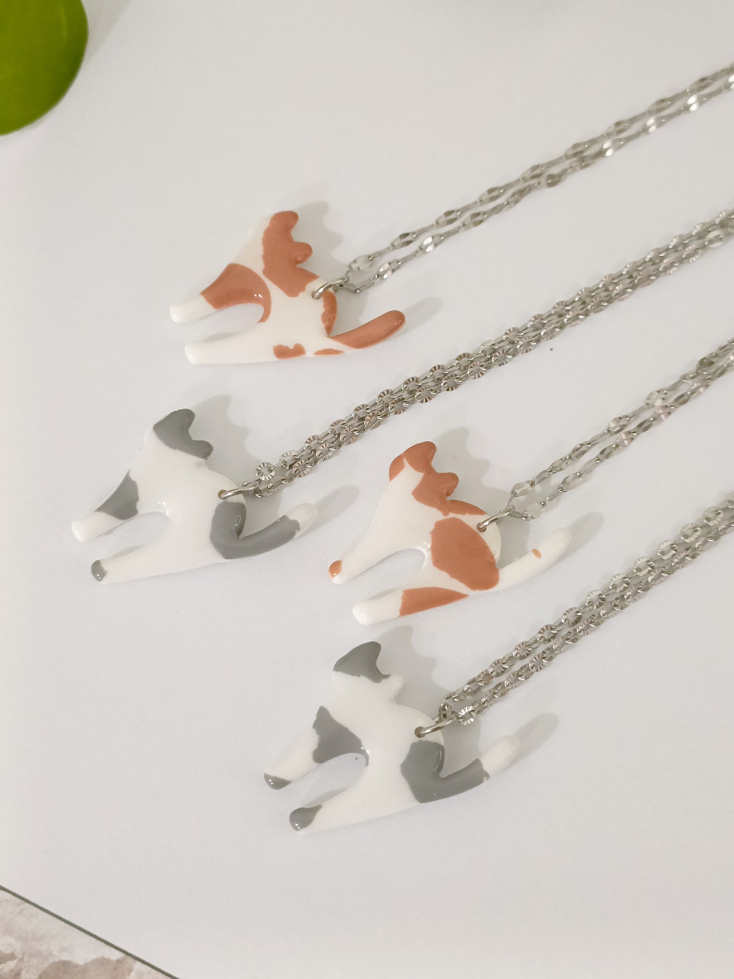 Collana gattini